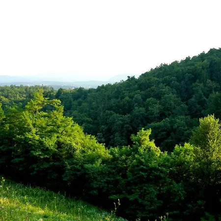 Hillhouse * Novo Mesto